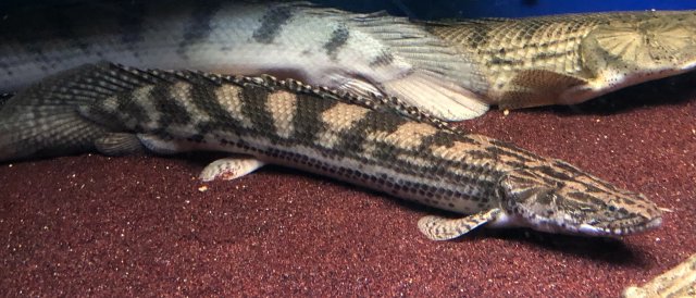 535B44CC-277C-4AC2-AD99-A0A3FB5F0FB9.jpeg 535B44CC-277C-4AC2-AD99-A0A3FB5F0FB9.jpeg