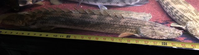 8AD91B9F-5AE7-47CB-B4B6-536655074812.jpeg 8AD91B9F-5AE7-47CB-B4B6-536655074812.jpeg