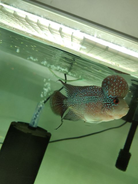 photo_2022-12-06_19-56-51 (2).jpg