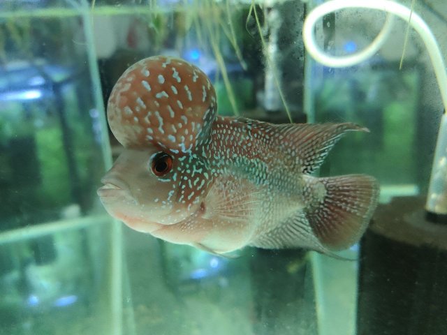 photo_2022-12-06_19-56-51 (3).jpg