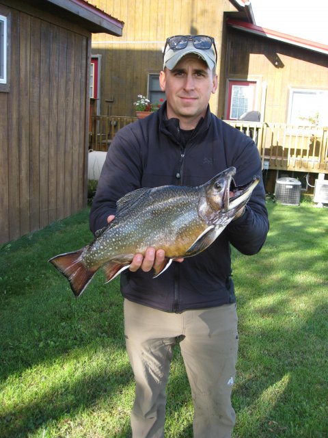 Meyer brook trout 2.jpg