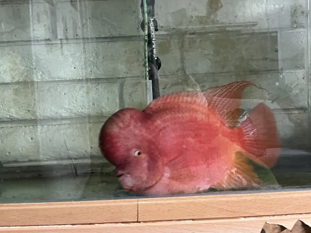 D03F5C79-F059-4AB3-9DF4-A2A0E7D1D781.jpeg