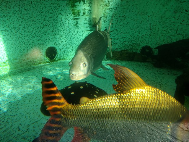 IMG_20221209_084912986_HDR.jpg