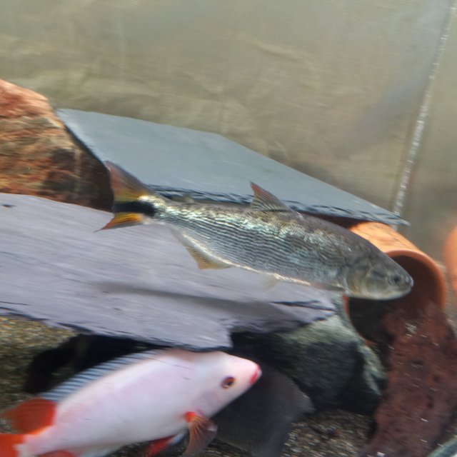 20221213_154443.jpg