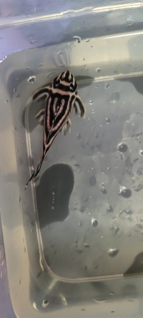 20221115_180117.jpg