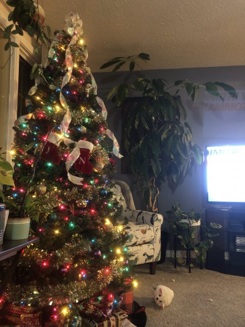 9F0AF135-4DB2-4916-8403-42DBBD5AD458.jpeg