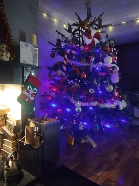 IMG_20221221_065721_HDR.jpg