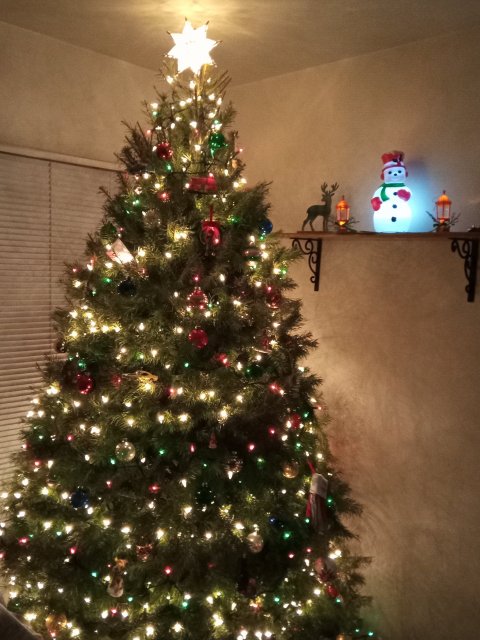 IMG_20221220_230945.jpg