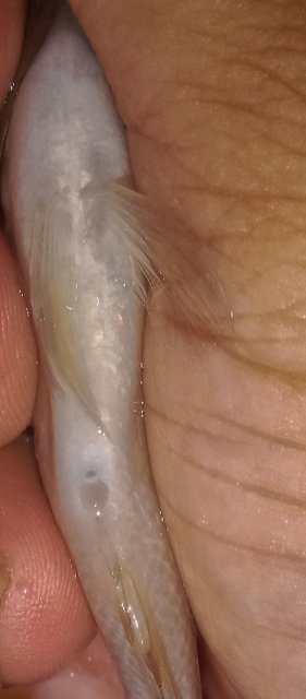 IMG_20221221_173042.jpg
