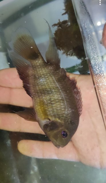 Screenshot_20221222-000927.jpg Screenshot_20221222-000927.jpg