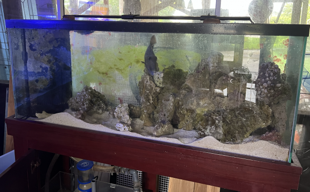 Screen Shot 2022-12-26 at 8.27.30 PM.png