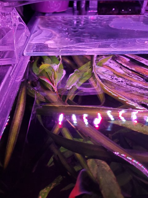 20221226_185252.jpg