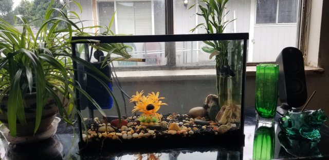 20190525_103750.jpg 20190525_103750.jpg