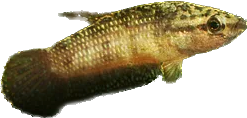 1672145198785.png