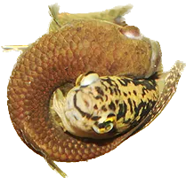 1672145247194.png