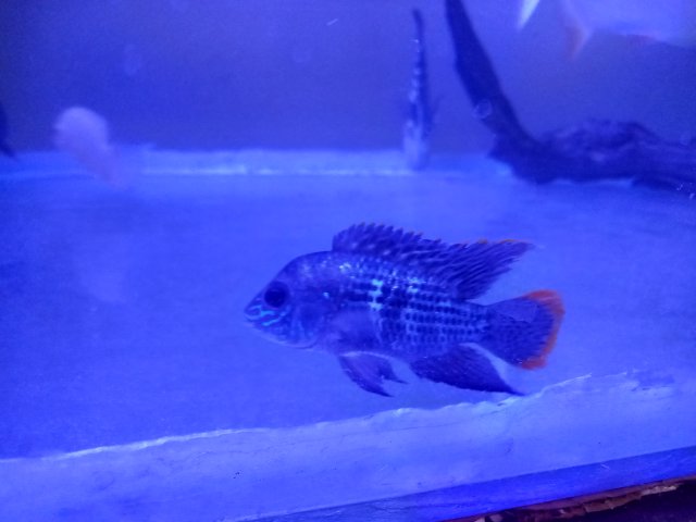 20221229_221211.jpg
