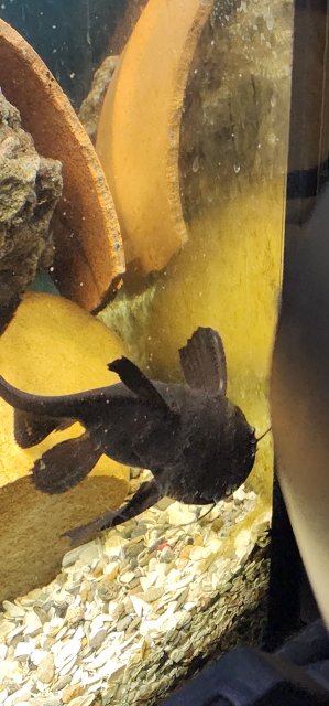 20221214_225758.jpg 20221214_225758.jpg