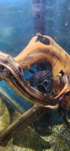 20221210_154147.jpg 20221210_154147.jpg