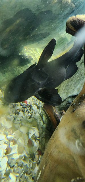 20221213_113622.jpg 20221213_113622.jpg