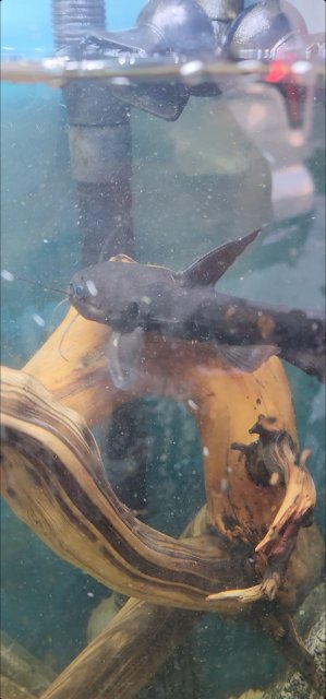 Screenshot_20221210_185225_Gallery.jpg Screenshot_20221210_185225_Gallery.jpg