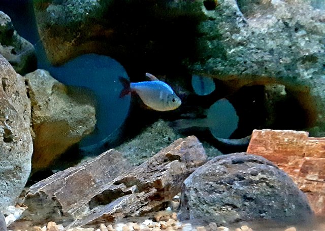 20220127_083309.jpg