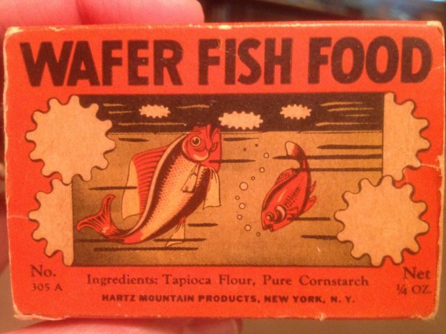 fishfood1.jpg