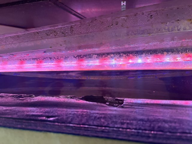 67EE88BE-BD7D-49F2-992F-2D67D2F99B87.jpeg 67EE88BE-BD7D-49F2-992F-2D67D2F99B87.jpeg