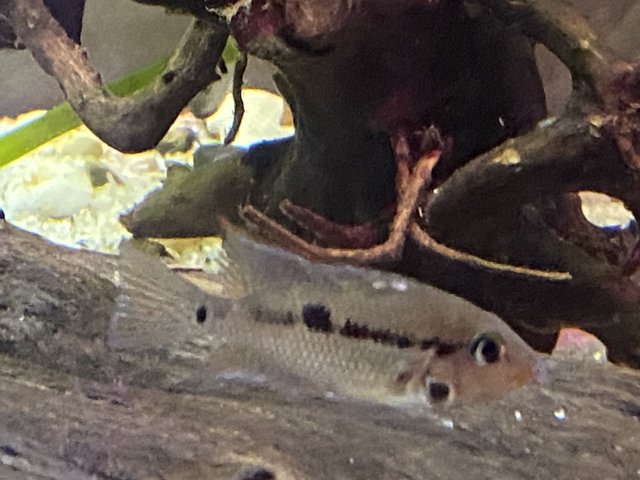 IMG_2512.jpg IMG_2512.jpg