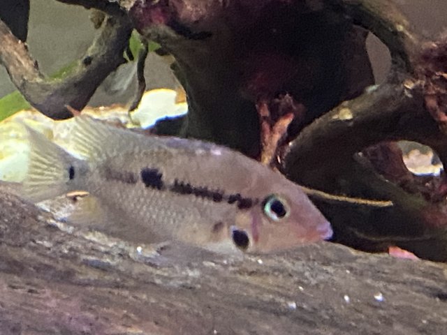 IMG_2511.jpg IMG_2511.jpg