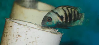 1672594552008.png 1672594552008.png