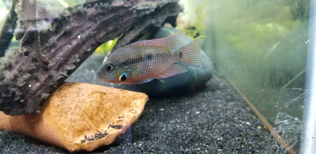 20190724_113629.jpg 20190724_113629.jpg