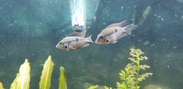 20190714_205523.jpg 20190714_205523.jpg