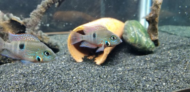 20190621_214052.jpg 20190621_214052.jpg