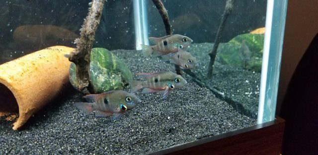 20190621_213305.jpg 20190621_213305.jpg