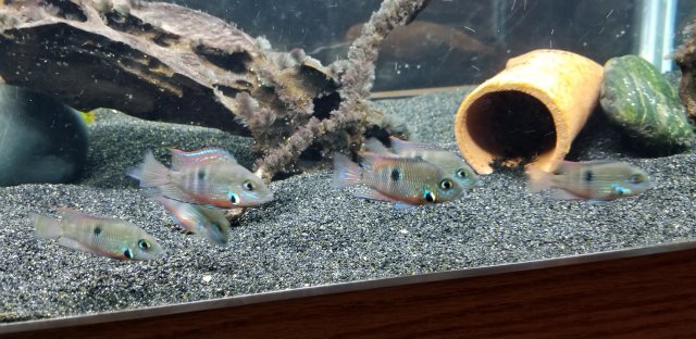 20190621_213250.jpg 20190621_213250.jpg