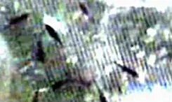 1672666712541.png