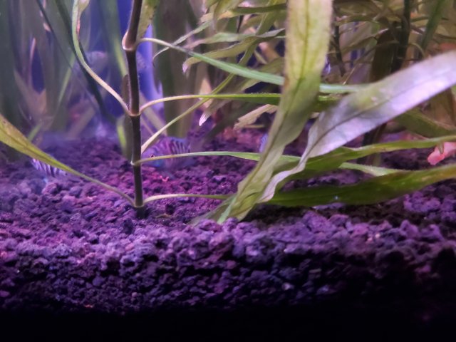 20230104_184215.jpg