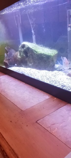 VideoCapture_20230104-210922.jpg