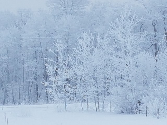 20230106_095121.jpg
