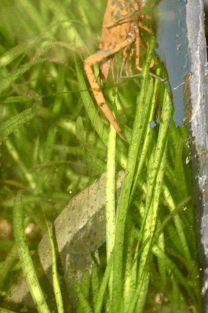 IMG_0946.jpeg