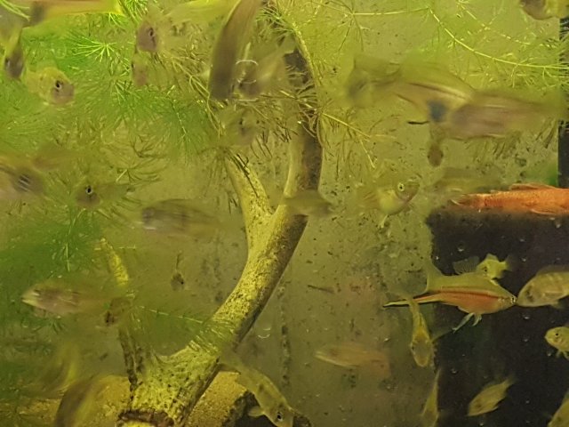 20230108_093542.jpg