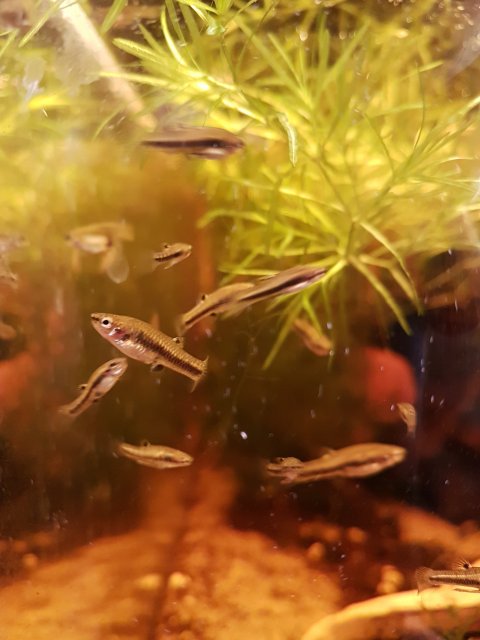 20230108_094023.jpg