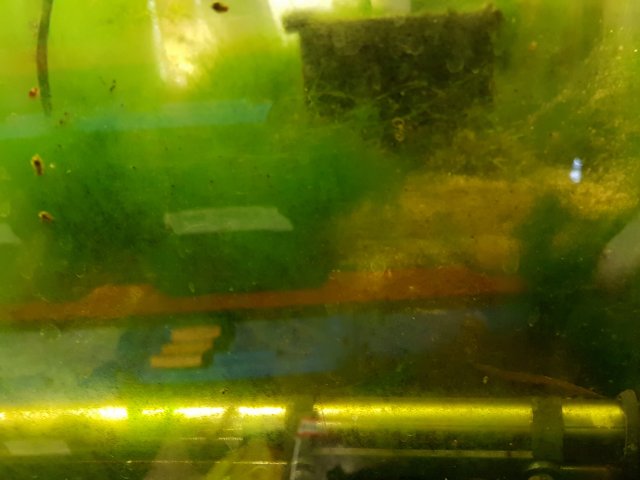 20230108_093619.jpg