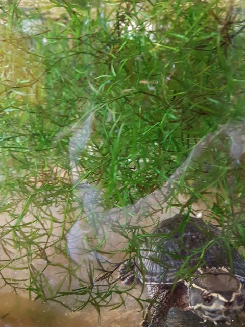20230108_094214.jpg