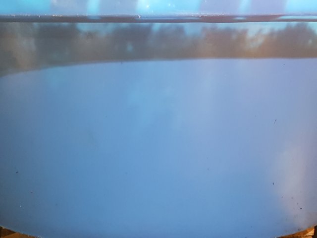 20230108_094722.jpg