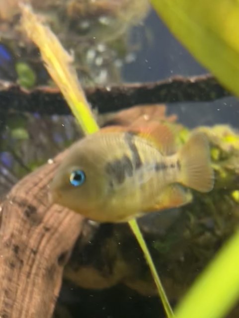 A339B337-B170-44E8-AA8F-2BD8AA0DE8FB.jpeg A339B337-B170-44E8-AA8F-2BD8AA0DE8FB.jpeg