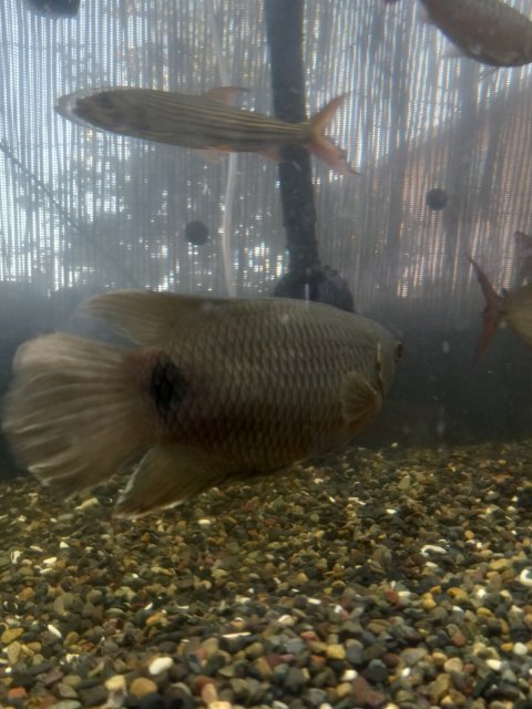 20220619_184747.jpg 20220619_184747.jpg