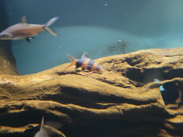 20230112_190954.jpg