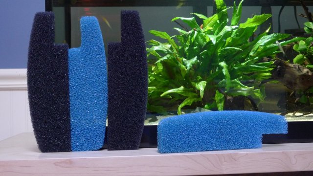 IMG_0981 g.JPG IMG_0981 g.JPG