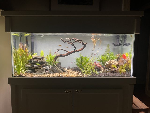 IMG_1558.JPG IMG_1558.JPG